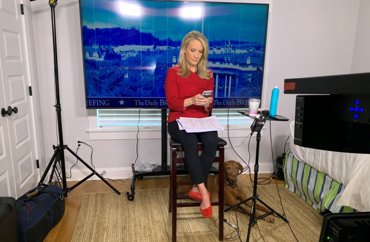 Dana Perino streaming at home